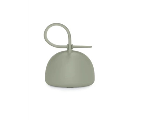 Color Essence Silicone Soother Holder Case - Green