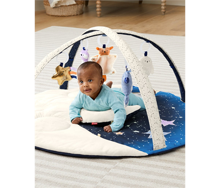 Skip Hop Celestial Dreams Activity Gym